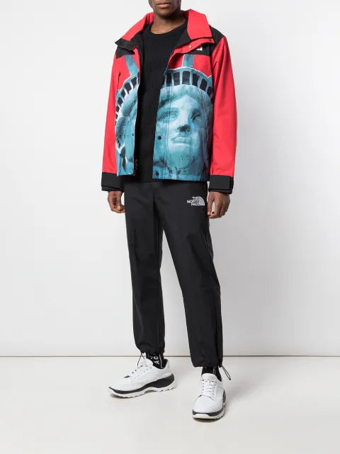 Supreme x The North Face "Statue Of Liberty" mountain jacket
