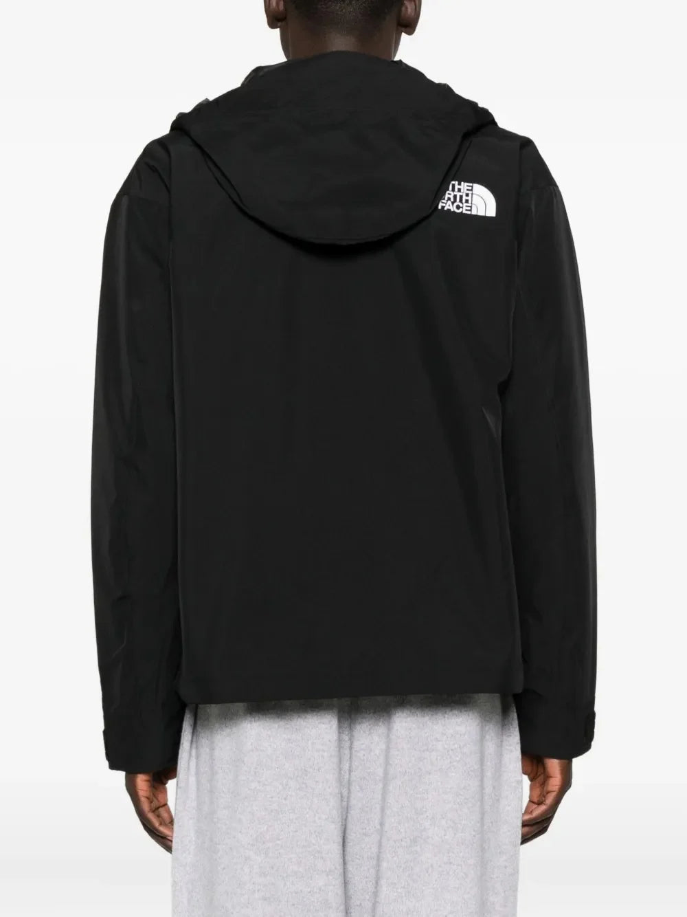 The North Face Men’s GTX Mountain Jacket