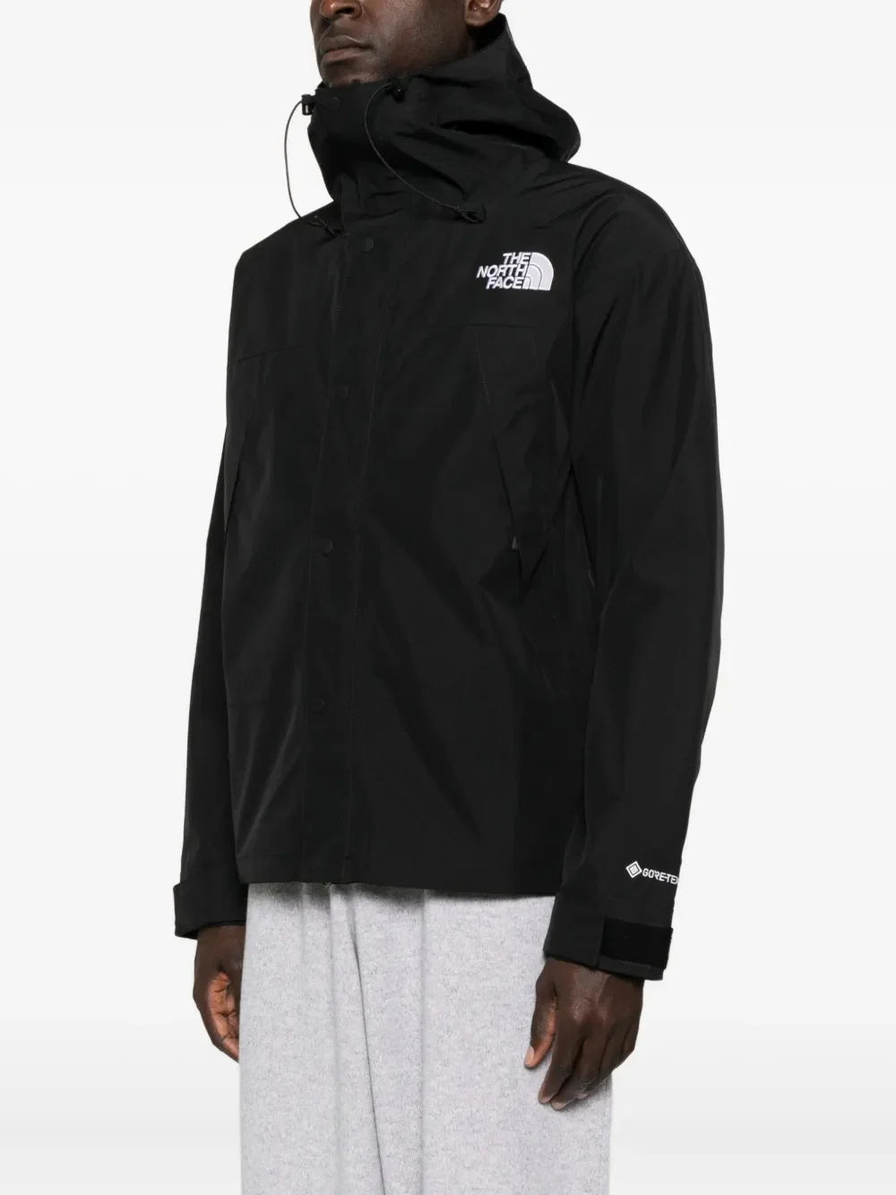 The North Face Men’s GTX Mountain Jacket