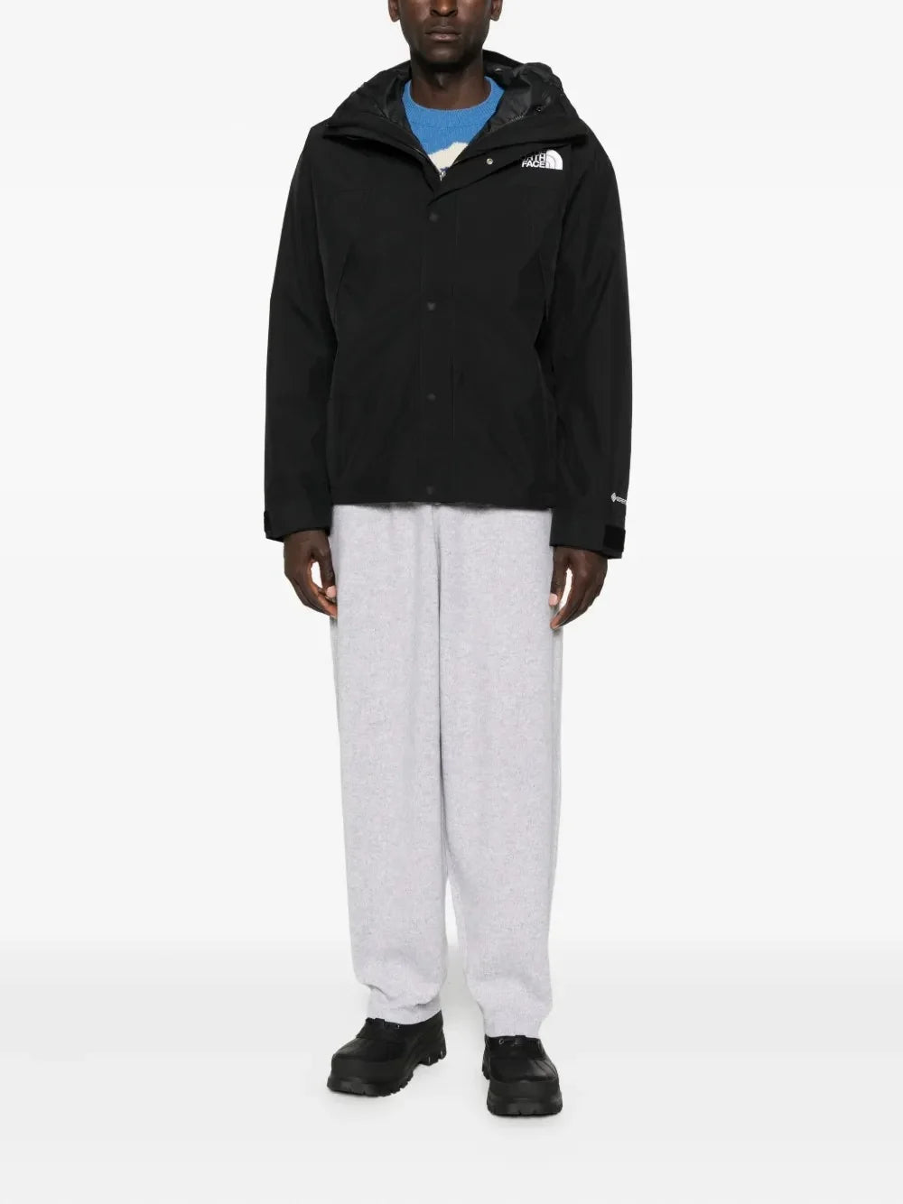 The North Face Men’s GTX Mountain Jacket